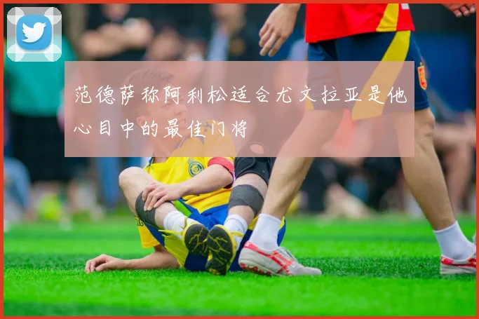 范德萨称阿利松适合尤文拉亚是他心目中的最佳门将