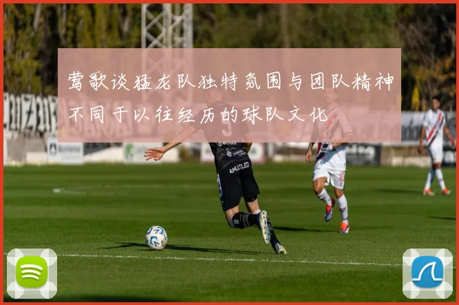 莺歌谈猛龙队独特氛围与团队精神不同于以往经历的球队文化